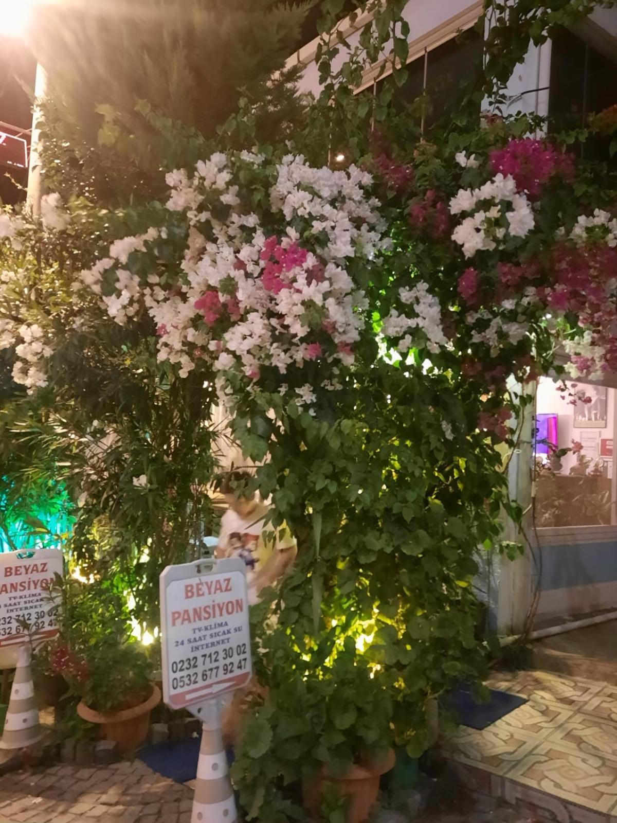 Beyaz Apart Pansiyon Çeşme Exterior photo